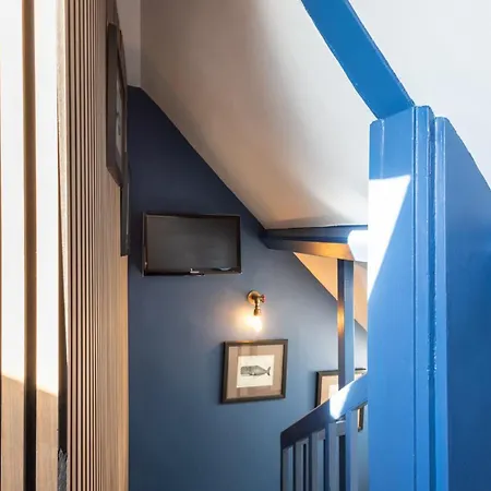 Host & - Candyfloss 惠特比