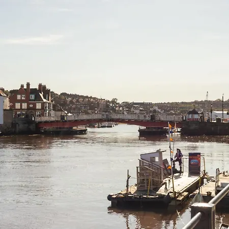 Host & - Candyfloss *