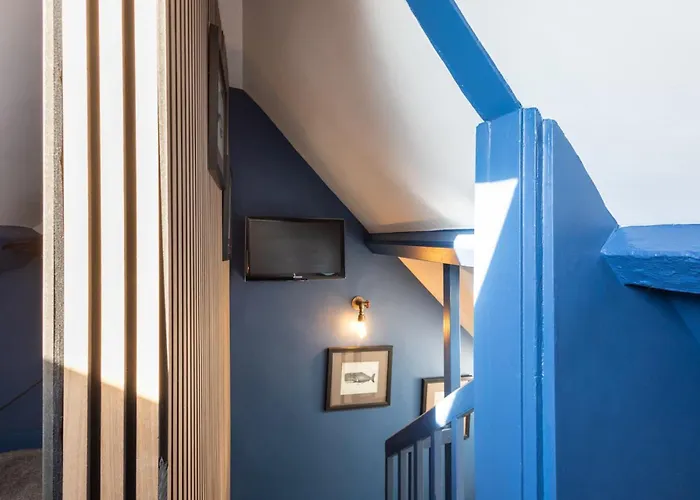 Host & - Candyfloss 惠特比